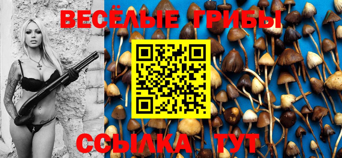 Псилоцибиновые грибы мицелий  Вход с VPN  Соликамск 